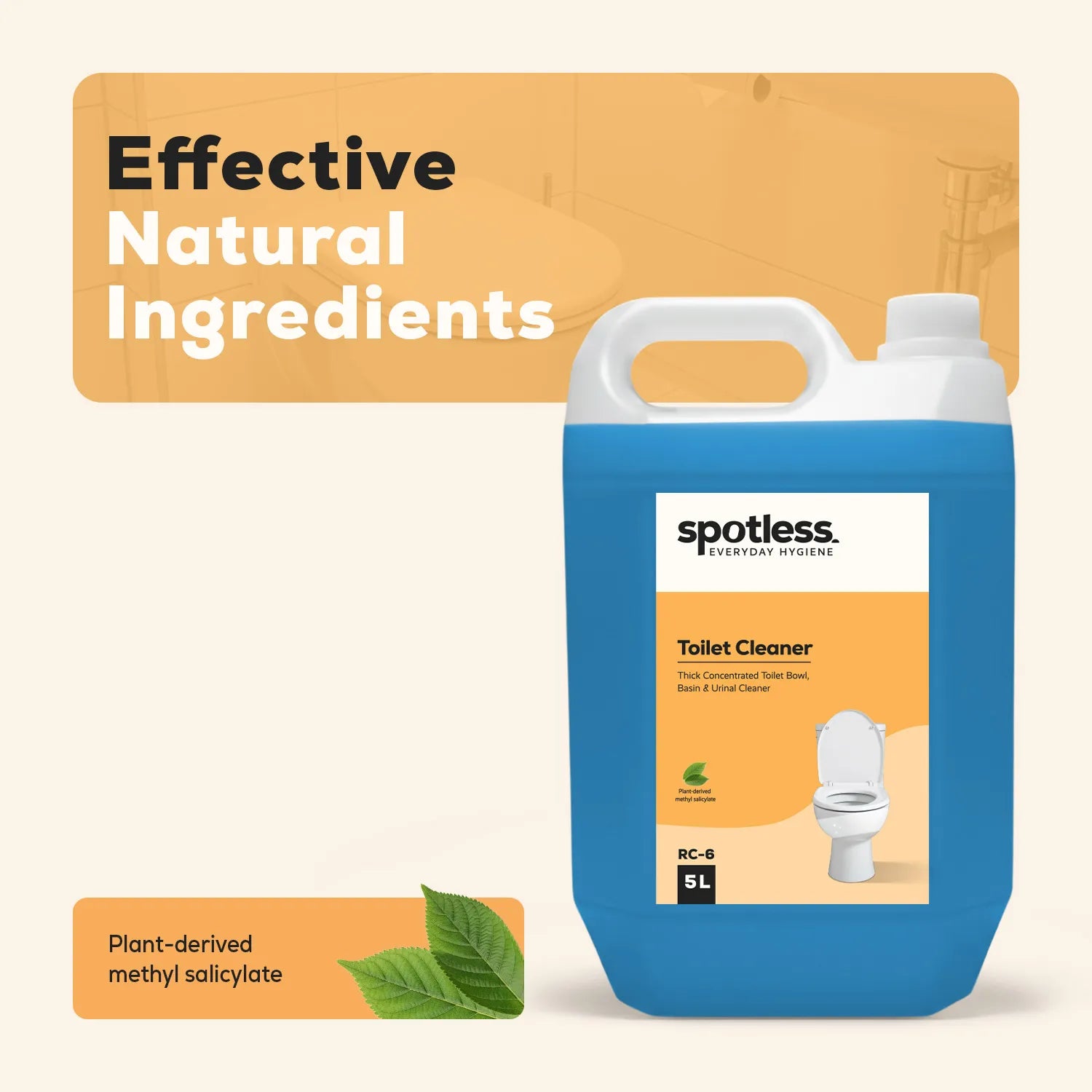Toilet Cleaner (RC-6)