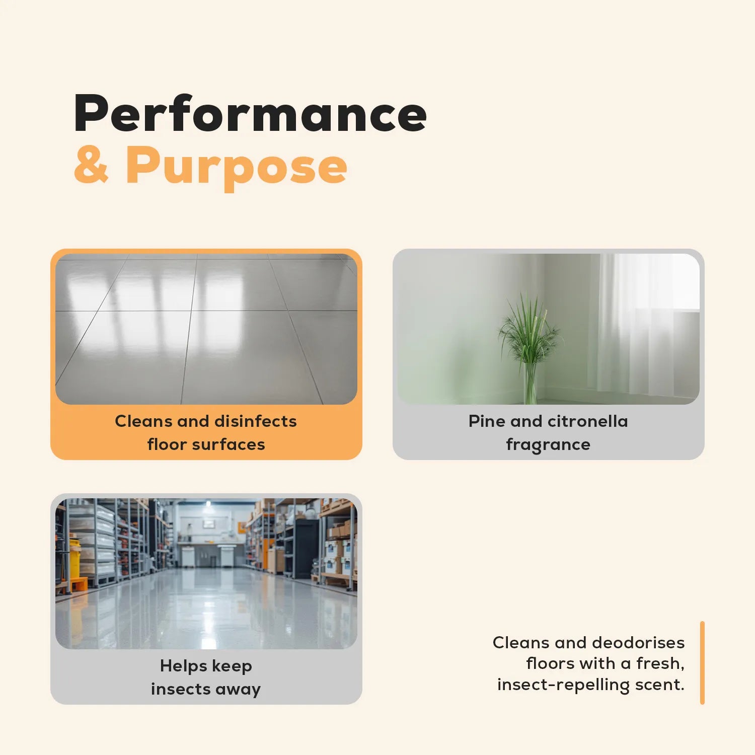 Floor Disinfectant Cleaner (RC-11)