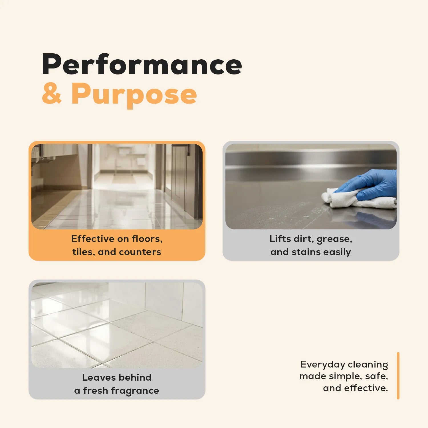 Multi Surface Cleaner (RC-2)